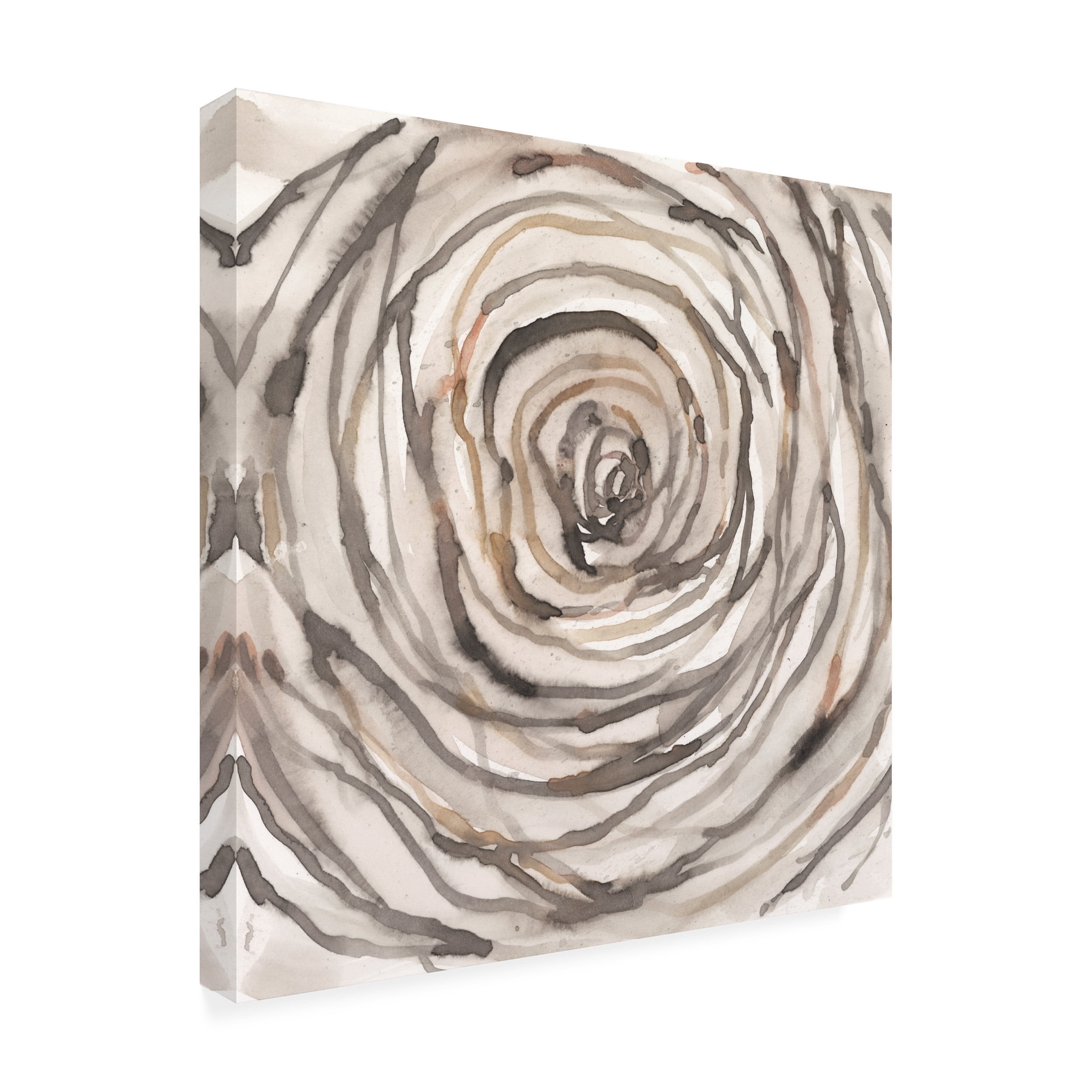 Samuel Dixon 'Twisted Branch I' Canvas Art