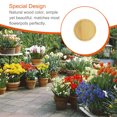 thumbnail image 3 of Bewildely Soporte para maceta, maceta con fondo de madera, platillo, decoración del hogar, bandejas de adornos, placa de jardinera para ventana de Jardín y Patio Tipo6 Bewildely HA061367-06B, 3 of 6