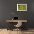 thumbnail image 3 of Gulin, Sylvia 24x19 White Modern Wood Framed Museum Art Print Titled - USA-Idaho-Highway 36 west of Liberty dirt road and Aspens in autumn, 3 of 4