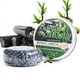 thumbnail image 1 of Jabón de champú de jengibre Polygonum Multiflorum Esencia de planta jabón de aceite jabón para cabeza jabón desengrasante para cabello negro, 1 of 6