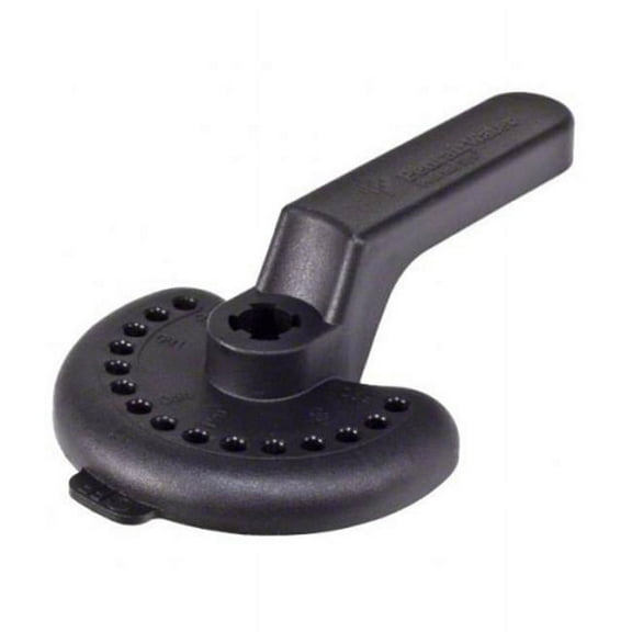 Pentair Water Pool & Spa 270118Z Handle for Check & Diverter Valves