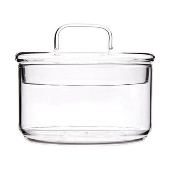 Gymnture Heat Resistant Glass Bowl with Lid - Transparent Salad Bowl