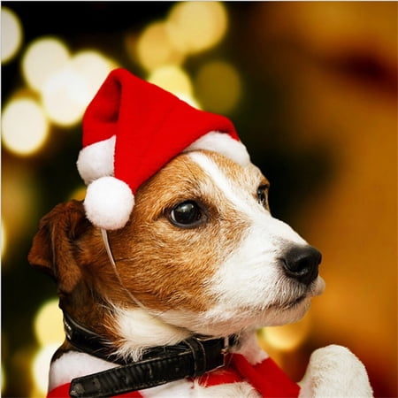 OULII Red Pet Christmas Collar with Adjustable Fit and Santa Hat for Holiday Use