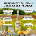 thumbnail image 3 of Belvoir Fruit Farms - Cordials - Organic Elderflower - 500ml, 3 of 6
