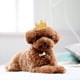 thumbnail image 4 of WEUVEB 2Ud Coronitas De Cumpleaños Para Perros Y Accesorios Livianos Para Fiesta Y, 4 of 8
