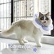 thumbnail image 5 of Collar de cono para gato suave, collar de recuperación para gato, impermeable, conos de flores para dejar de lamer, ajustable, 5 of 8