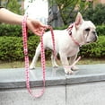 thumbnail image 2 of Didog 5ft Long Dog Leash Lead for Small Medium Large Dogs with Handle Flower Pattern, 2 of 24