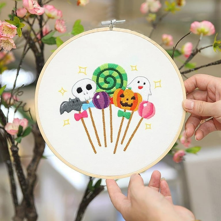 Colorful Flower Embroidery Kit for Beginners Embroidery Pattern English  Manual