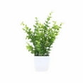 thumbnail image 1 of TIELUTT Bonsaï Vert en Pot avec Vase Rond Blanc Fleurs Mini Fleurs de Rose en Mousse Fleurs d'Orchidée Fleurs Suspendues pour l'Extérieur Vases à Fleurs, 1 of 2