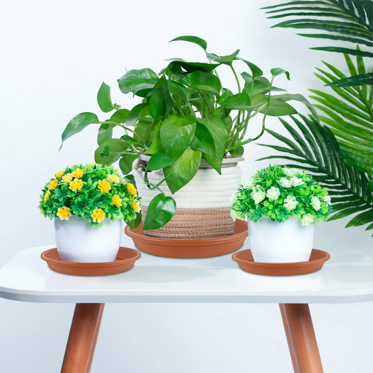 12 Pcs Flower Pot Tray Plant Trays Pots Plants Indoor Plastic