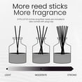 thumbnail image 5 of Brooklyn Fragrance Co. Park Slope - Long Lasting Scented Aroma Diffuser – Black Patchouli Air Freshener for Home- Fragrance Diffuser for a Large Room - 100ML, 5 of 7