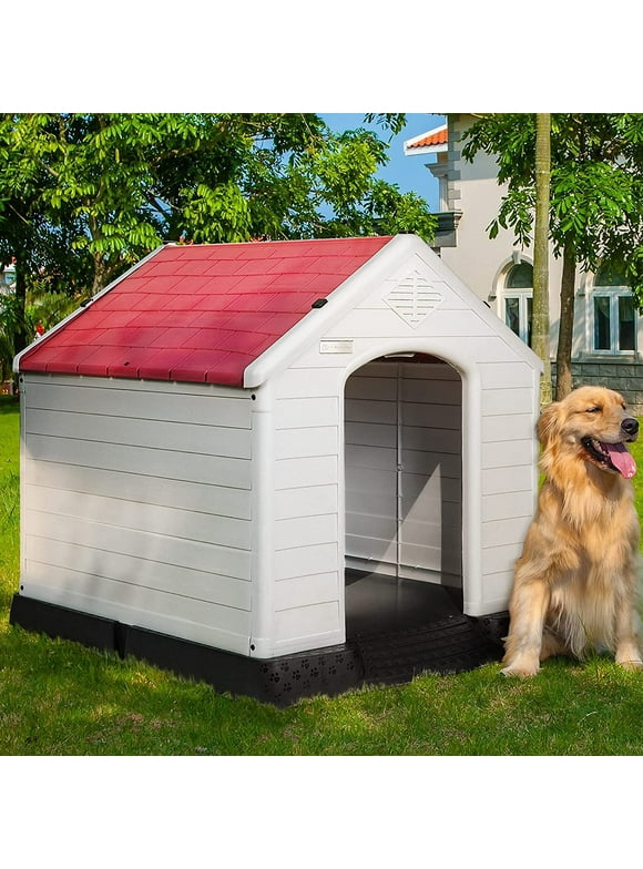 Dog Houses in Dogs 