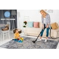 thumbnail image 4 of Naar Maval 6X9 Area Rug, Multi Color Oriental, Machine Washable Rugs for Living Room, Non-Slip, Non-Shedding and Foldable Rugs, 4 of 7