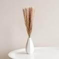 thumbnail image 4 of 15Pcs Natural Dried Pampas Grass Reed Flowers Home Wedding Used in Decor Gift, 4 of 8