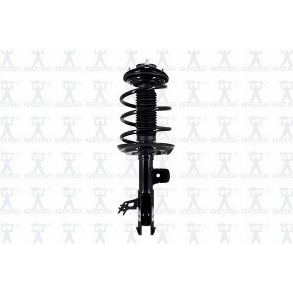 Suspension Strut and Coil Spring Assembly