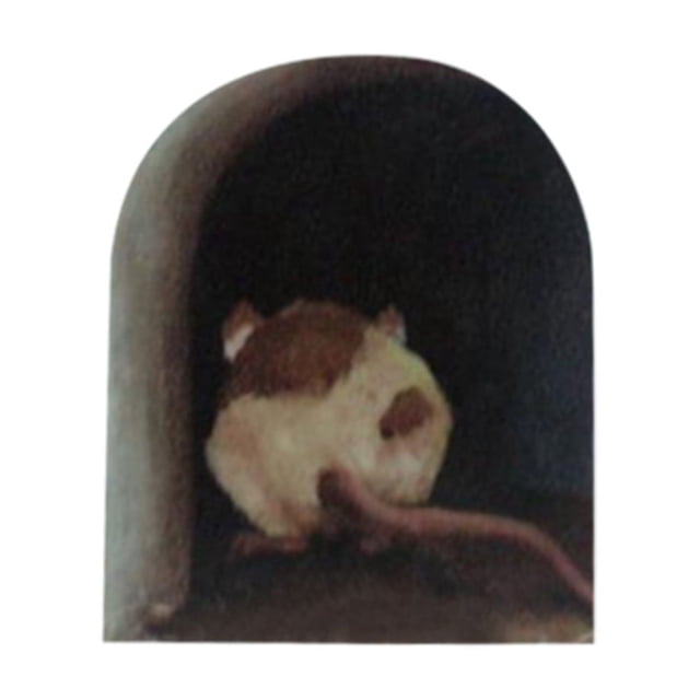 JJKBVCLO Miniature Hole Decal Mural Unique Sticker Indoor And Outdoor Decoration