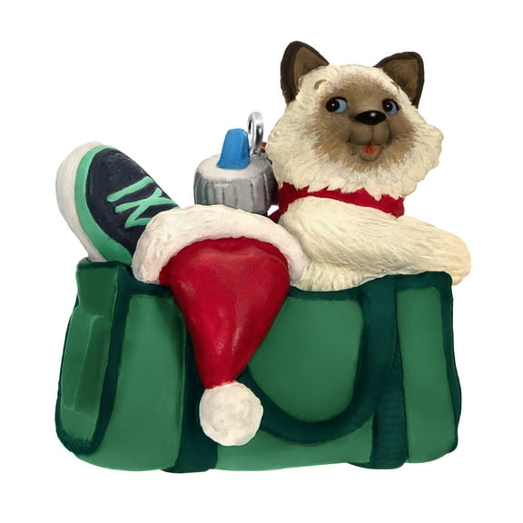 Hallmark Keepsake Christmas Ornament 2023, Mischievous Kittens, Cat Ornament, Pet Gifts. .12 lbs.
