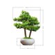 thumbnail image 2 of Adornos de bonsái de pino simulados y acogedores, bonsáis artificiales, plantas de escritorio, pequeñas plantas verdes, 2 of 3