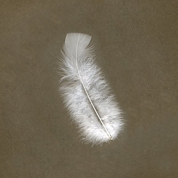 Zucker Feather Products Turkey Feather Flats Dyed - 4-6" - White