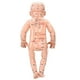 thumbnail image 1 of Enseñanza de meridianos corporales para niños material de PVC Puntos de acupuntura portátiles Modelo de masaje seguro para niños saludable para la enseñanza de operaciones ANGGREK Otros, 1 of 8