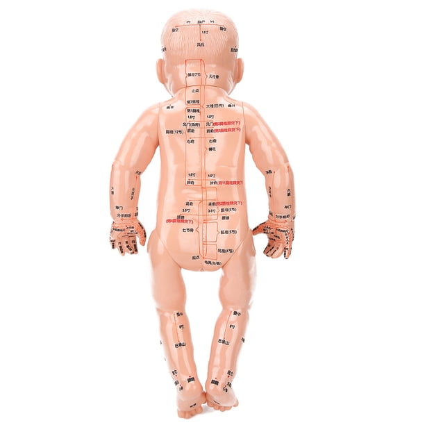 Enseñanza de meridianos corporales para niños material de PVC Puntos de acupuntura portátiles Modelo de masaje seguro para niños saludable para la enseñanza de operaciones ANGGREK Otros