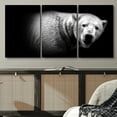 thumbnail image 2 of PixonSign Canvas Print Wall Art Set Pinhole Style Bear Portrait Animals Wildlife Photography Realism Rustic Closeup Relax/Calm Dark Black and White for Living Room, Bedroom, Office - 16"x24"x3, 2 of 5
