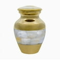thumbnail image 2 of Trupoint Memorials Mother of Pearl Small Keepsake Urns for Human Ashes - Set of 4 - to Remember Your Loved One Lost - with Box and Velvet Bag, 2 of 7