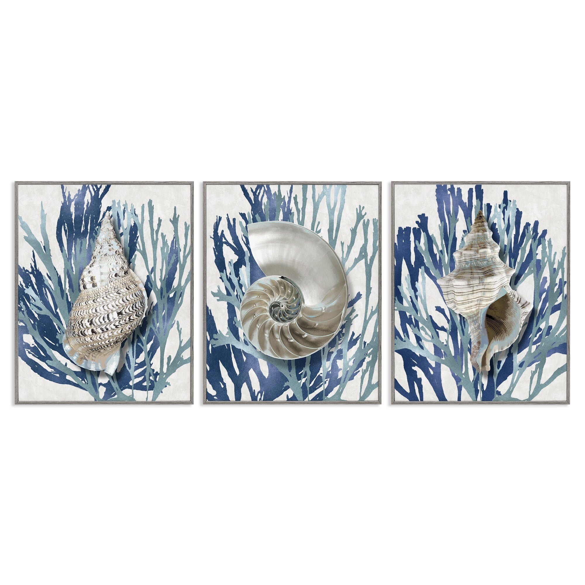 Stupell Industries Trio of Shell Coral Blue Beach Design Graphic Art Gray Framed Art Print Wall Art Set of 3, 11x14, by Caroline Kelly