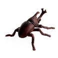 thumbnail image 1 of Modelo de juguete, simulación de insectos para niños, modelo de animal de plástico, modelo de insecto de plástico, integración perfecta, 1 of 1