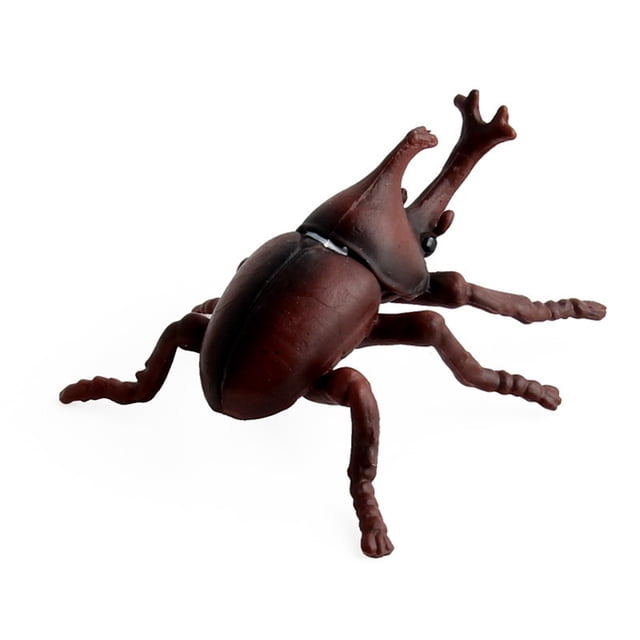 Modelo de juguete, simulación de insectos para niños, modelo de animal de plástico, modelo de insecto de plástico, integración perfecta