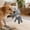 E, variant on Giraffe Squeaky Dog Chew Toy, Durable Corduroy Stuffed Animal Toy for Small & Medium Dogs, Interactive Plush Toy for Teething & Boredom Relief