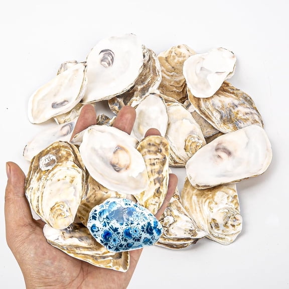 Sinkoo 20Pcs Flat Oyster Shells for Crafts 2.4"-3.1" Small Natural Oyster Shells Bulk, for Home Vase Filler, Xmas Ornaments, DIY Arts and Crafts Sea Shells