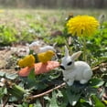 thumbnail image 5 of Safari Ltd. Farm Babies TOOB - Figurines: Donkey, Pony, Goat, Lamb, Horse, Cat, Corgi, Pig, Chicken, Holstein, Bunny - Educational Toy Figures For Boys, Girls & Kids Ages 3+, 5 of 7