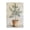 Terracotta Potted Olive Tree, variant on Stupell Industries Mediterranean Potted Olive Black Framed Giclee Art, design by Petal Prints Design