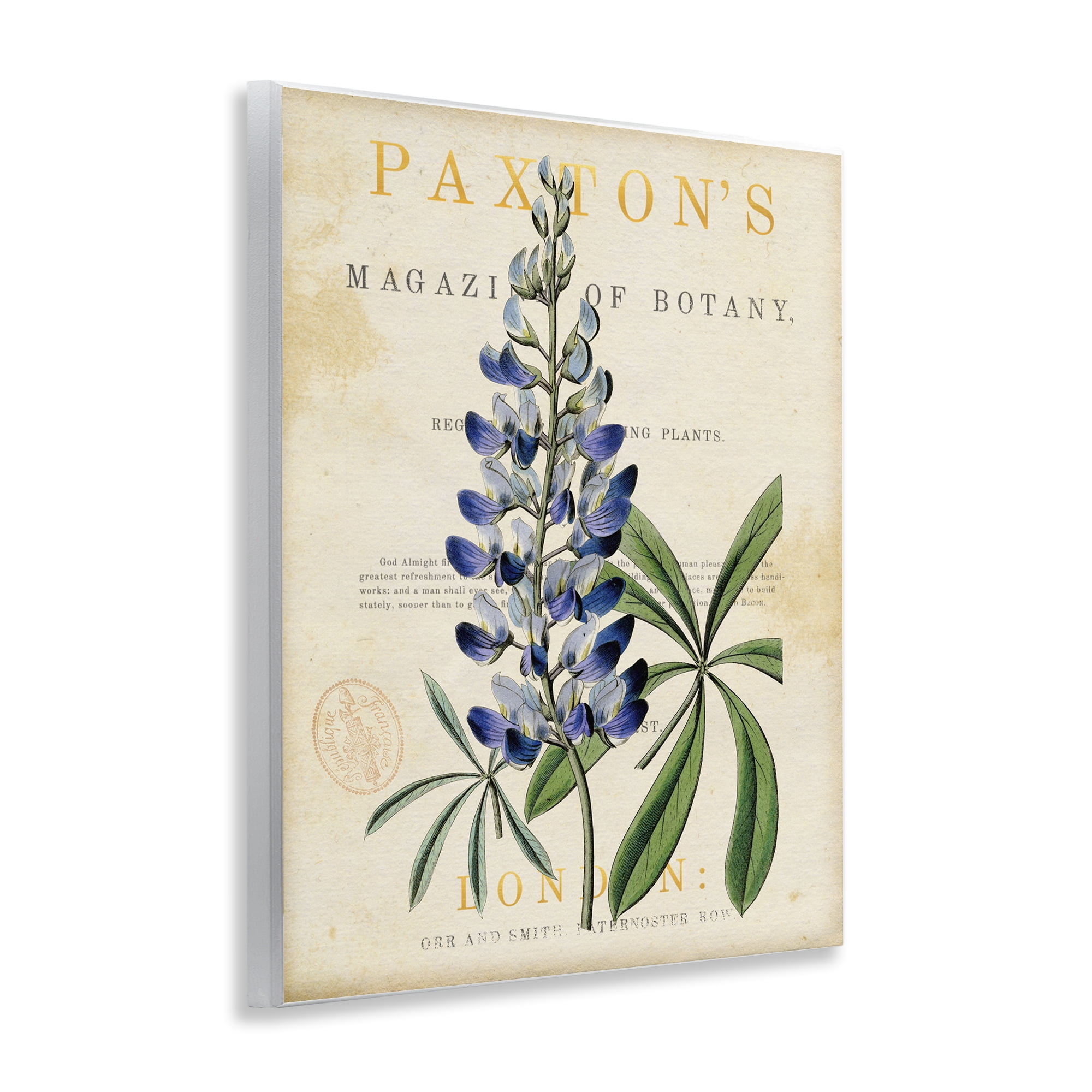Stupell Industries Natural Botany Lupine Wall Plaque Art, design by Susan Arnot