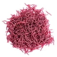 thumbnail image 2 of LEFU pour Appâts Souples, Leurres de Pêche au Ver de Terre - 50 Pcs Hameçons Crankbaits Rouges pour Pêche en Eau Douce et Salée - Tailles 8CM Disponibles - Matériau Plastique, 2 of 8