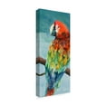 thumbnail image 2 of Trademark Fine Art 'Parrot' Canvas Art by Annelein Beukenkamp, 2 of 3