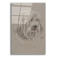 thumbnail image 1 of Epic Art 'Havanese' by Barbara Keith, Acrylic Glass Wall Art, 24"x36", 1 of 8