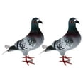 thumbnail image 5 of Simulation Pigeon Ornaments Artificial Dove Animal Artificial Foam Bird Mini Fake Birds for Kids Garden Decor Easter Gifts Party Favors 2pcs Style B, 5 of 10