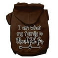 thumbnail image 4 of Thanksgiving Pet, Dog and Cat Hoodie Screen Printed, "I Am What My Family Is Thankful For", 4 of 10