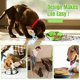 thumbnail image 3 of Juguete Snuffle para Perros, Cuenco de Rompecabezas para Olfatear Repollo para Alimentación Lenta, Juguete Dispensador de Juegos de Entrenamiento Iq Interactivo, Manta de Juego para Mascotas que Fomen Feliz Sencillez, 3 of 5