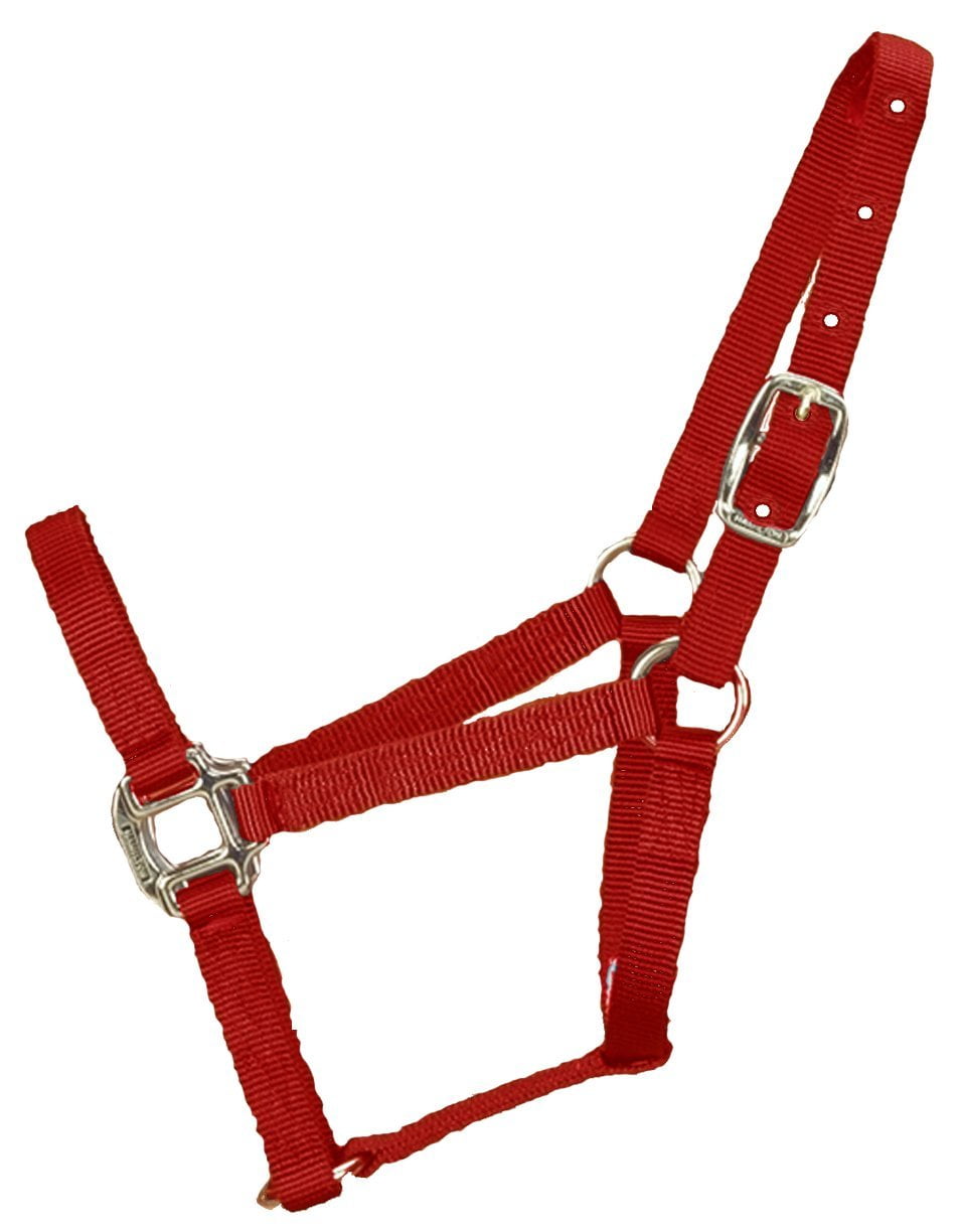 hamilton halter horse equal economy triple thick durable nylon pony red