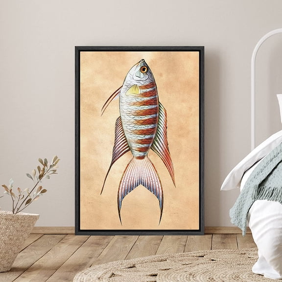 PixonSign Framed Canvas Print Wall Art Orange and White Striped Bass Animals Fish Illustrations Realism Nautical Portrait Colorful Multicolor Ultra for Living Room, Bedroom, Office - 16"x24" Black