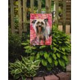 thumbnail image 2 of Carolines Treasures BB9746GF Drapeau Chinois - Taille du Jardin, 2 of 3