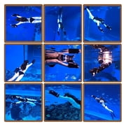 2.2m/s Electric Motor 45mins Diving Equipment Wearable Underwater Scooter Mini Water Scooter Underwater Sea Scooters ,Powerful Motor