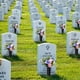 thumbnail image 5 of 20 Pack Cemetery Vases with Spikes,Plastic Vases for Flowers,Grave Decorations for Cemetery,Memorial Floral Vases, 5 of 5
