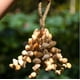 thumbnail image 2 of Uuiauoio Handmade Natural Wind Chime, Wood and Shell Acoustic Instrument for Yoga and Meditation, Soothing Wind Bells for Indoor and Outdoor Decor, Handcrafted Musical Decor for Home and Garden, 2 of 3