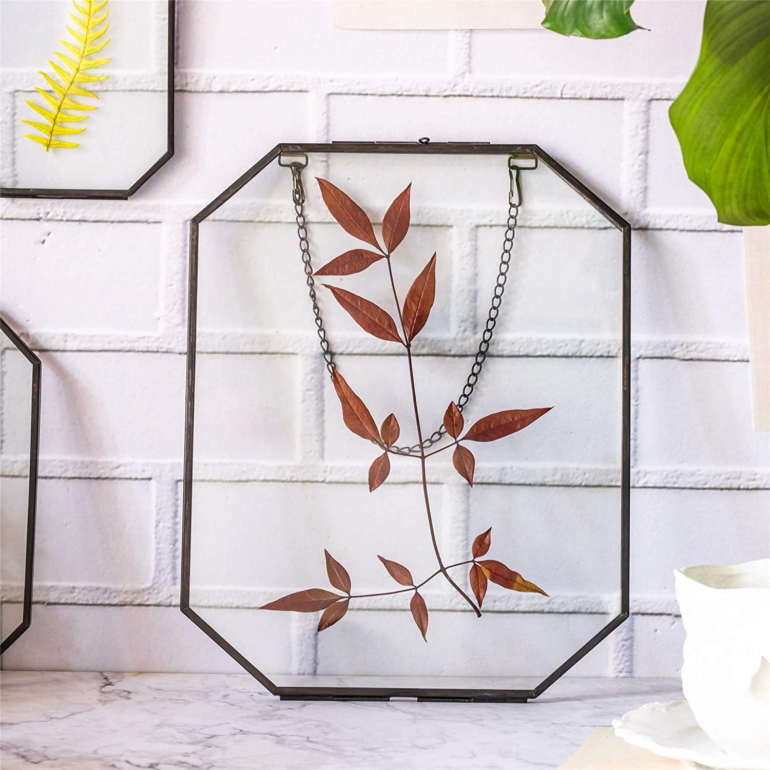 NCYP 8x10 inches Octagon Double Glass Floating Frame for Pressed Dried Flowers, Photo, Picture, Poster - Wall Hanging Herbarium, Home Decor, Black (Glass Frame Only)