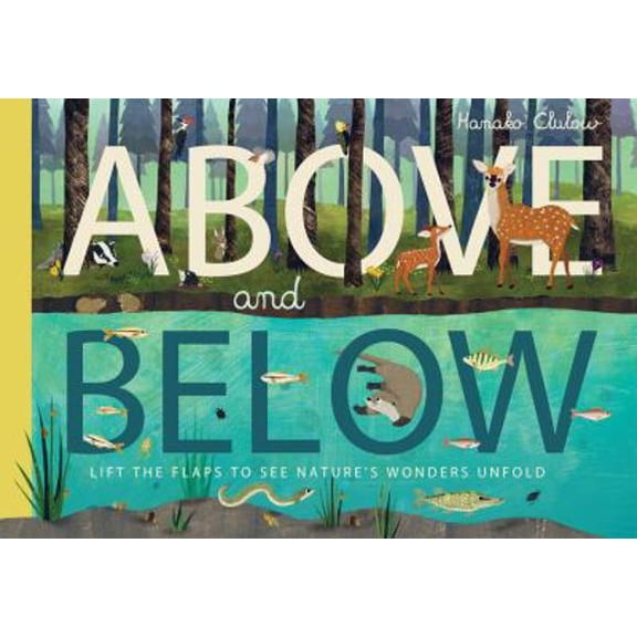 Pre-Owned Above and Below (Hardcover) 1610675916 9781610675918