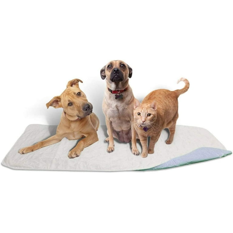 Top dog cheap puppy pads
